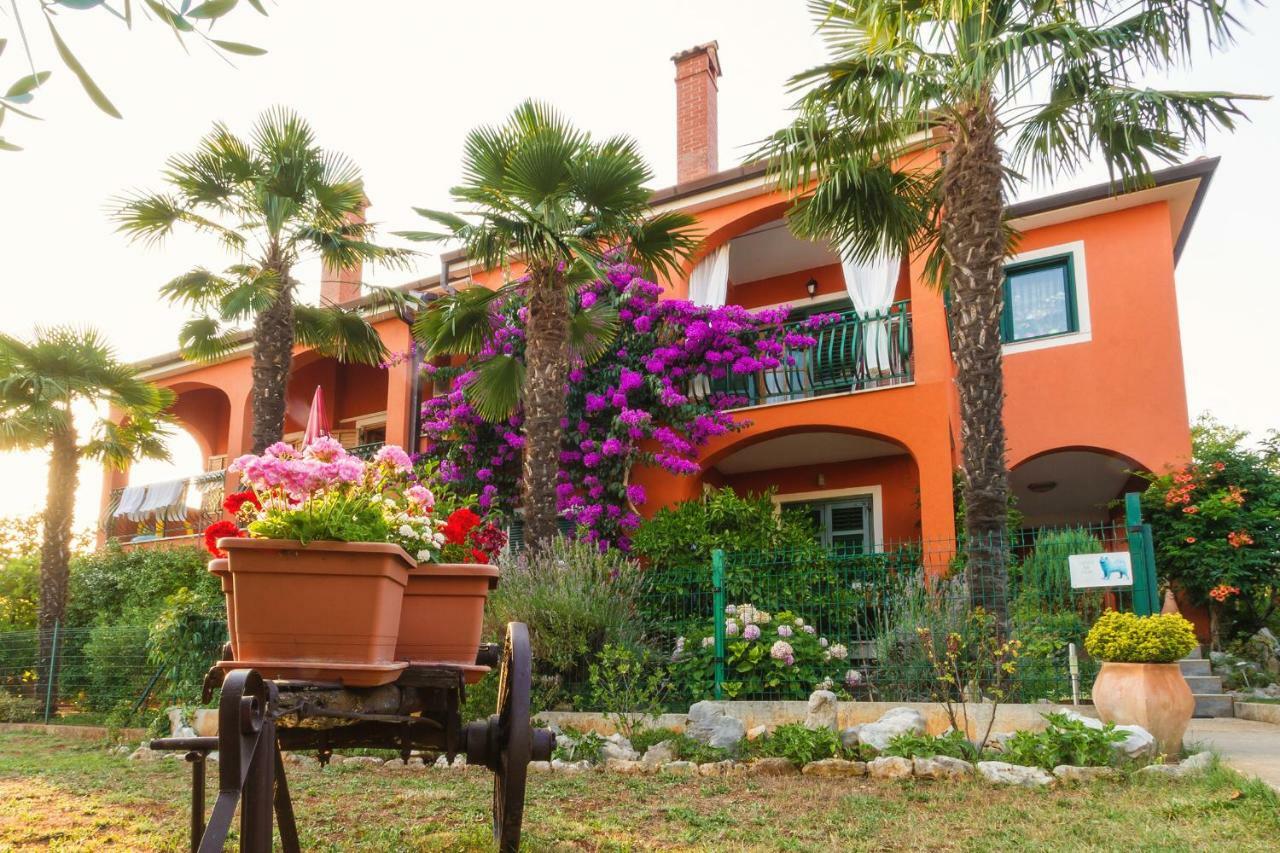 Apartments Mirjana Novigrad Istria Extérieur photo